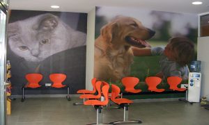 Reforma de locales - Hospital veterinario